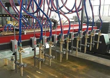 O tipo chama do pórtico do CNC da tira e máquina de corte do plasma para H irradia a linha de produção
