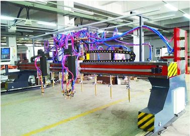 Tipo chama do pórtico CNC5-5000X14000 da tira da Multi-cabeça e máquina de corte 9+1+1 do plasma